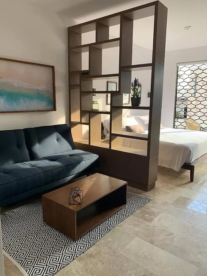 Luxurious Charming Studioterrace With Poolgym Playa del Carmen Apartment