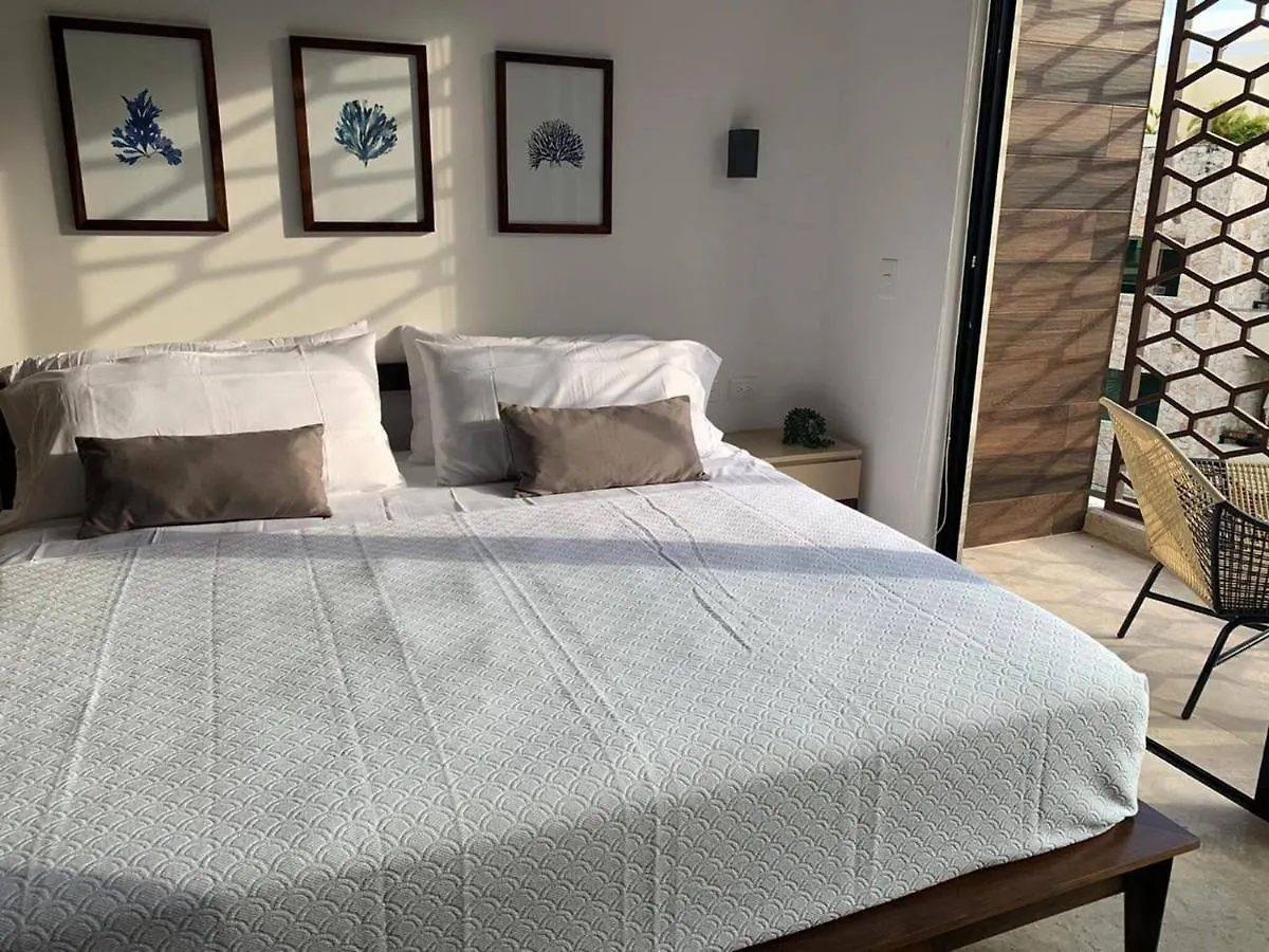Luxurious Charming Studioterrace With Poolgym Playa del Carmen